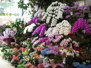 「フローラトガミ」　（福岡県大野城市）の花屋店舗写真2